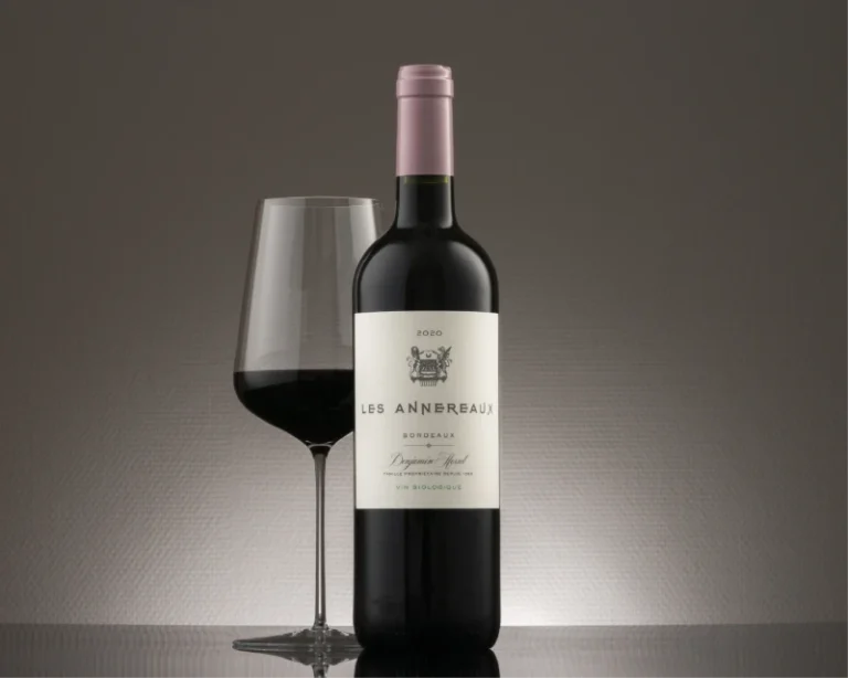 Chateau des Annereaux