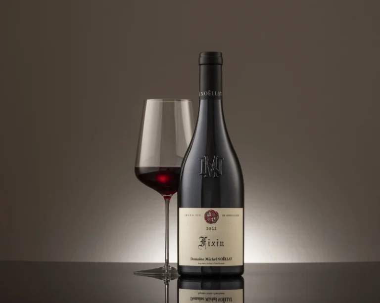 Fixin, Domaine Michel Noëllat